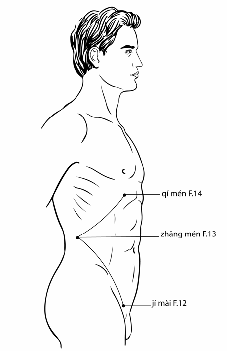 Acupuncture Point Qimen Liv-14 (illustration, picture, view, show, demonstration, location)