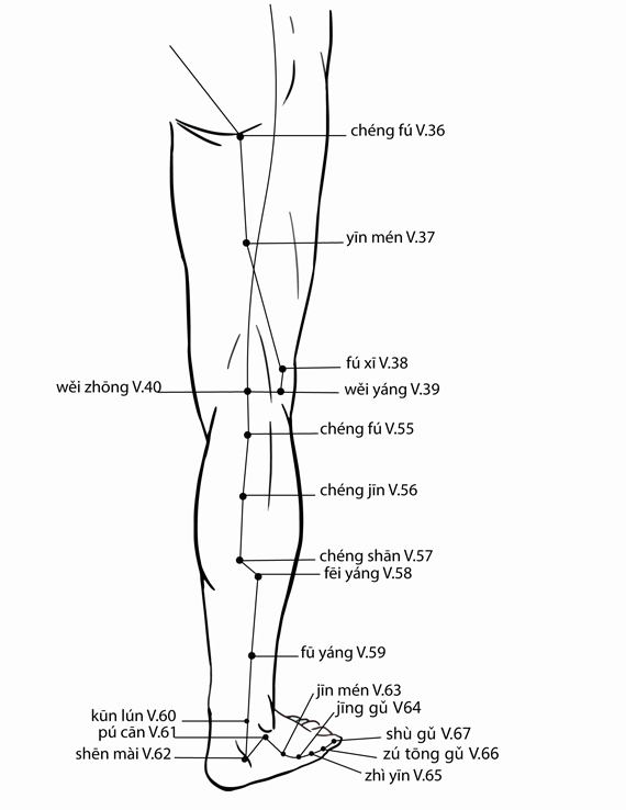 Acupuncture Point Pucan Bl-61 (illustration, picture, view, show, demonstration, location)