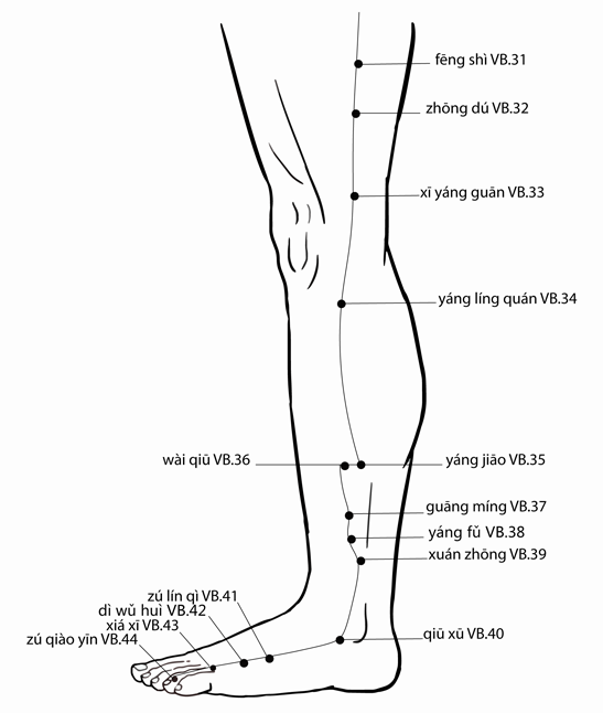 Acupuncture Point Xiyangguan Gb-33 (illustration, picture, view, show, demonstration, location)