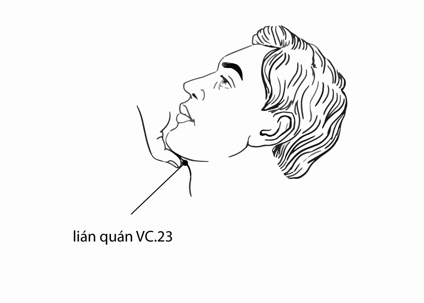 Acupuncture Point Lianquan Ren-23 (illustration, picture, view, show, demonstration, location)
