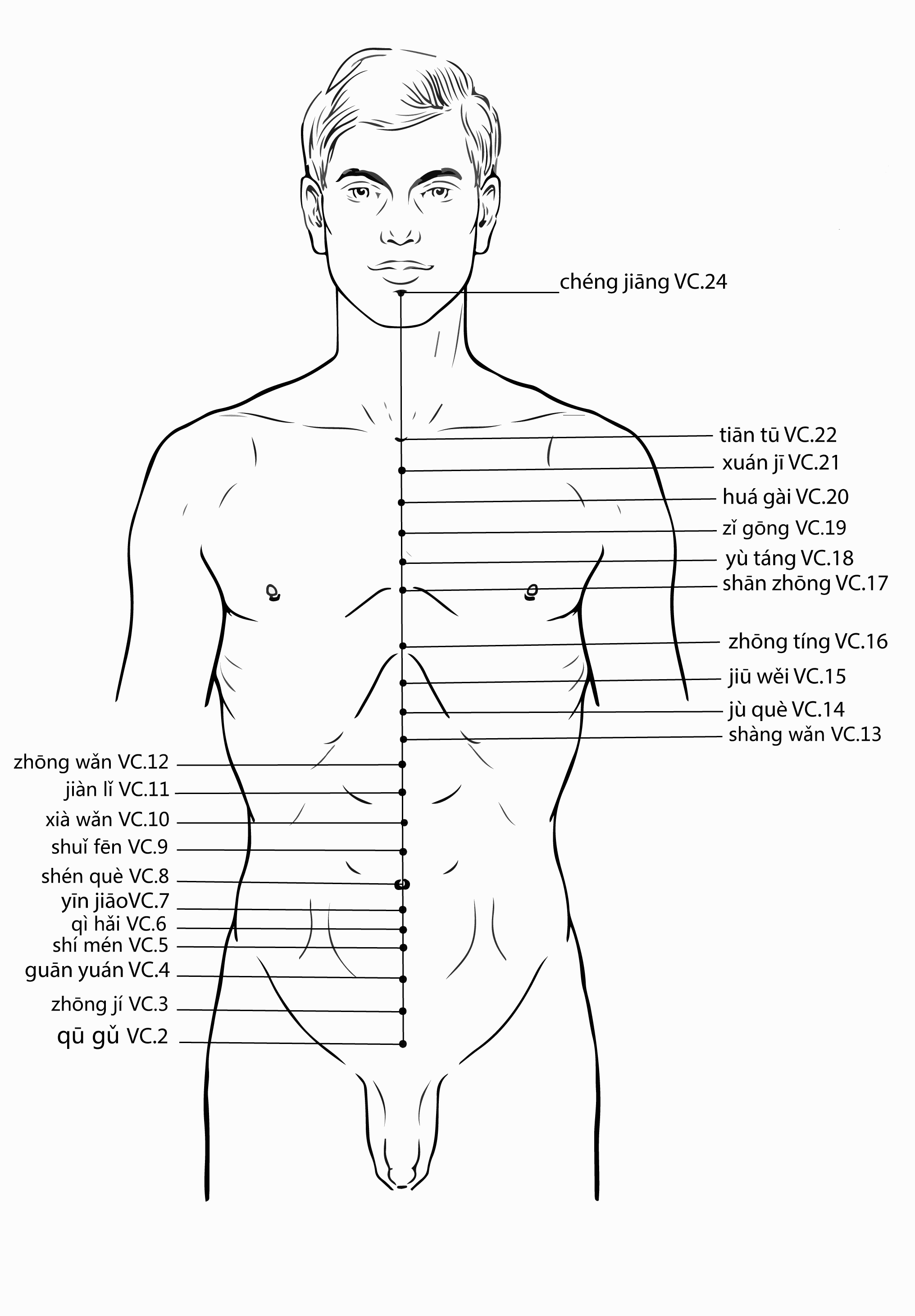 Acupuncture Point Qugu Ren-2 (illustration, picture, view, show, demonstration, location)