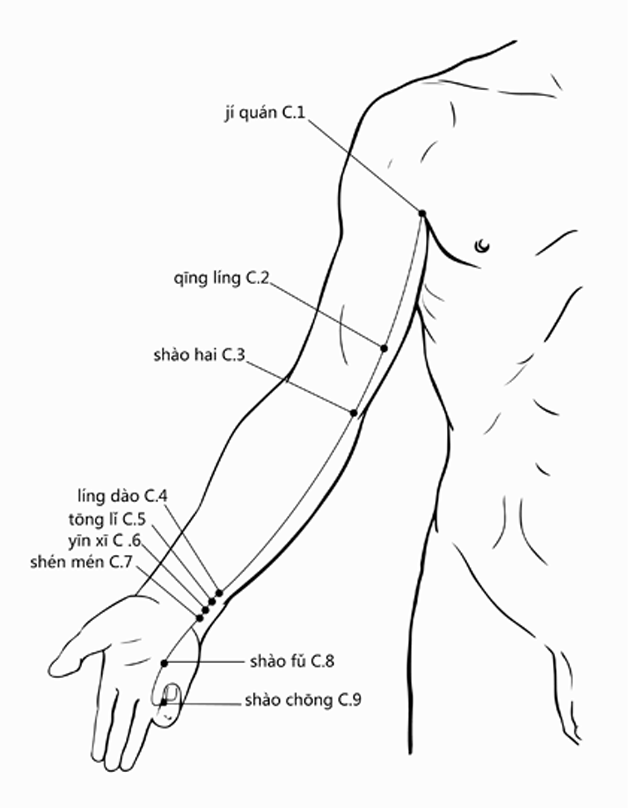 Acupuncture Point Shaohai HT-3 (illustration, picture, view, show, demonstration, location)