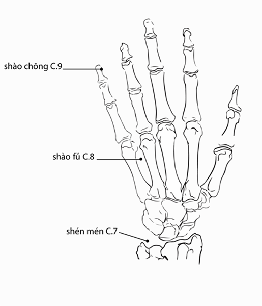 Acupuncture Point Shenmen HT-7 (illustration, picture, view, show, demonstration, location)