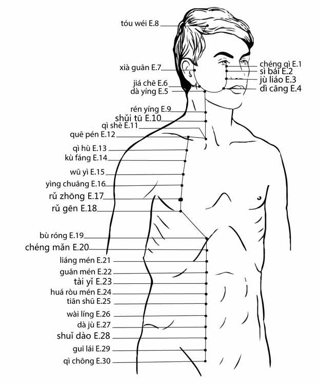 Acupuncture Point Daying St-5 (illustration, picture, view, show, demonstration, location)