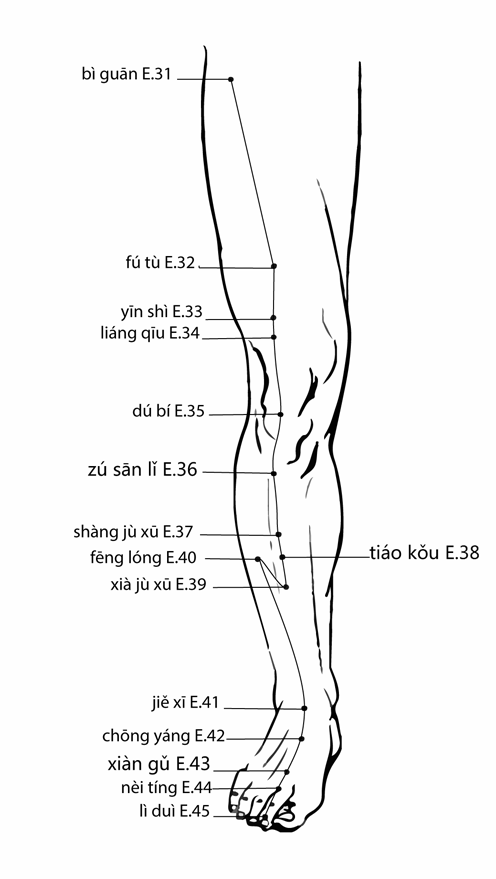 Acupuncture Point Liangqiu St-34 (illustration, picture, view, show, demonstration, location)