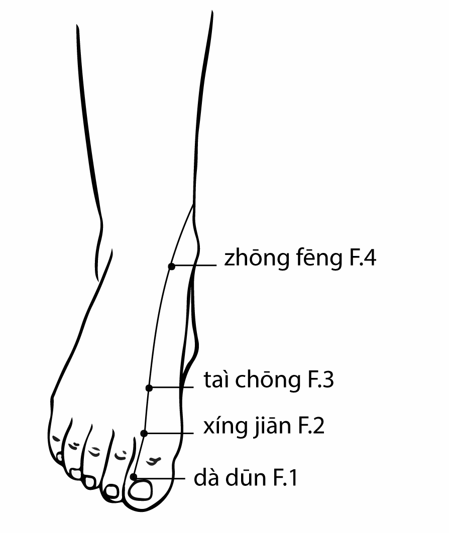 Акупунктурная точка Zhongfeng Liv-4 (иллюстрация, картина, демонстрация)