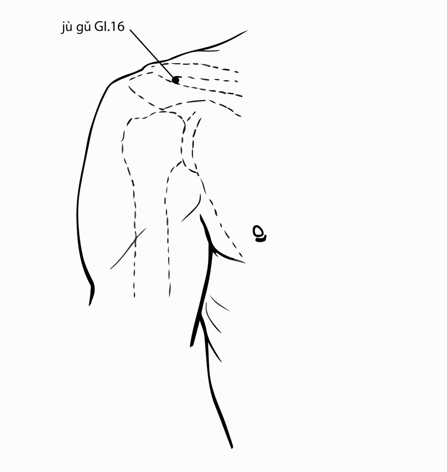 Акупунктурная точка Jugu LI-16 (иллюстрация, картина, демонстрация)