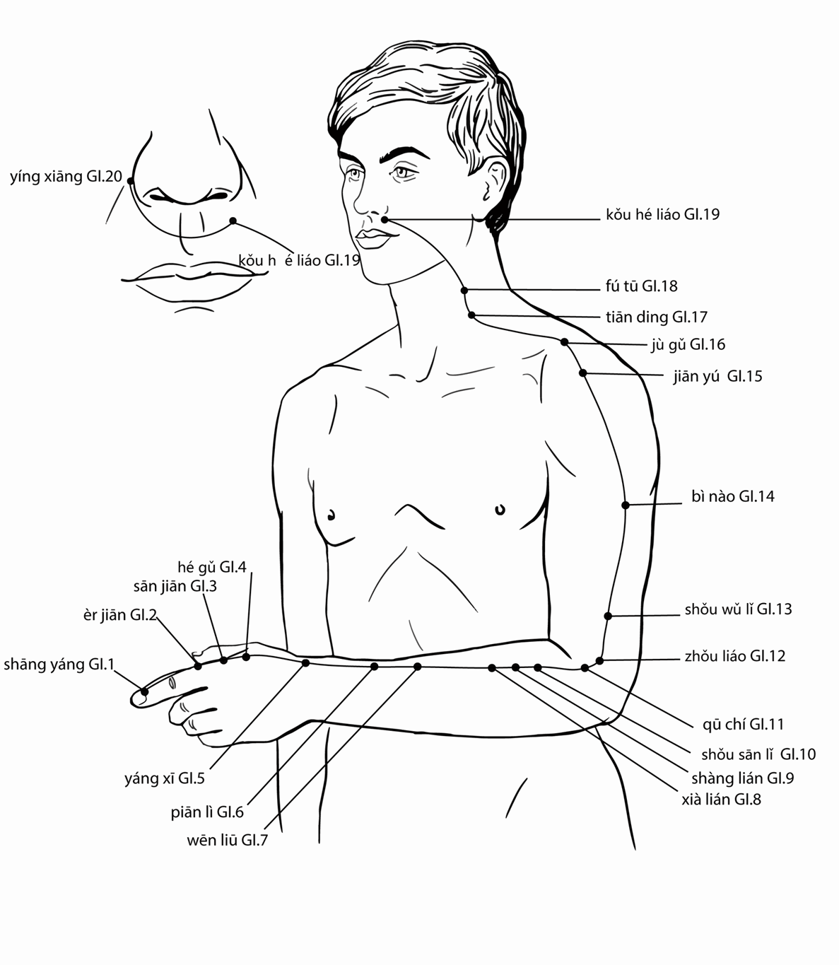 Acupuncture Point Erjian LI-2 (illustration, picture, view, show, demonstration, location)