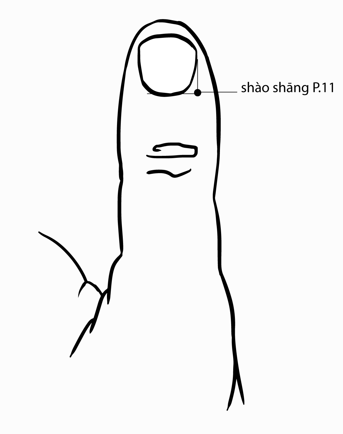 Акупунктурная точка Shaoshang LU-11 (иллюстрация, картина, демонстрация)