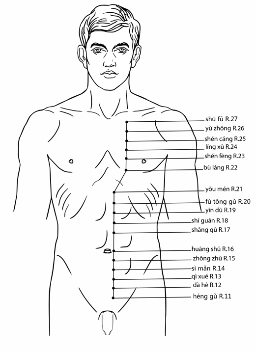 Acupuncture Point Siman KD-14 (illustration, picture, view, show, demonstration, location)