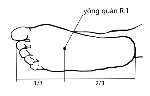 Acupuncture Point Yong Quan KD-1 (illustration, picture, view, show, demonstration, location)