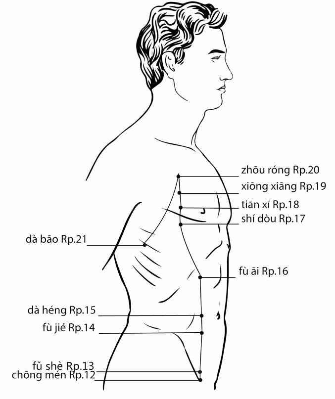 Acupuncture Point Chongmen SP-12 (illustration, picture, view, show, demonstration, location)