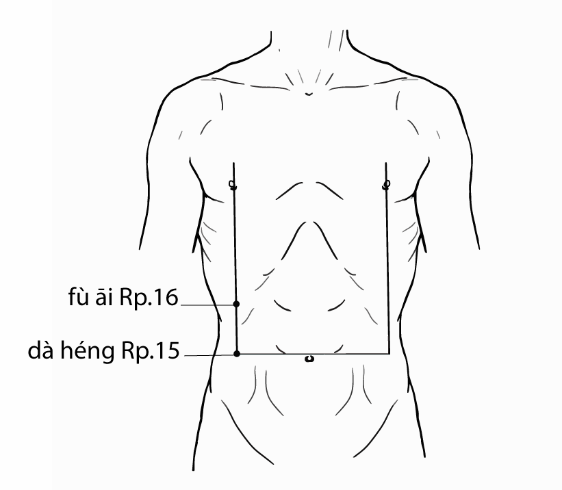 Acupuncture Point Da heng SP-15 (illustration, picture, view, show, demonstration, location)
