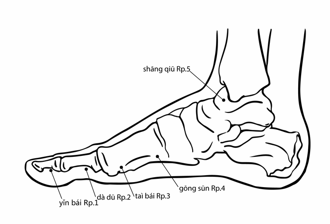 Acupuncture Point Dadu SP-2 (illustration, picture, view, show, demonstration, location)