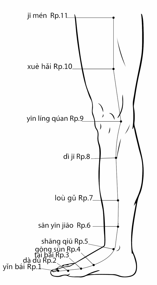 Акупунктурная точка Xuehai SP-10 (иллюстрация, картина, демонстрация)