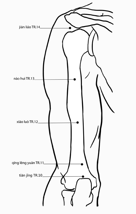Acupuncture Point Jianliao SJ-14 (illustration, picture, view, show, demonstration, location)