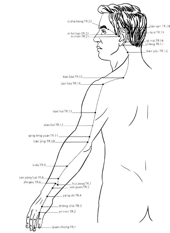 Acupuncture Point Ermen SJ-21 (illustration, picture, view, show, demonstration, location)