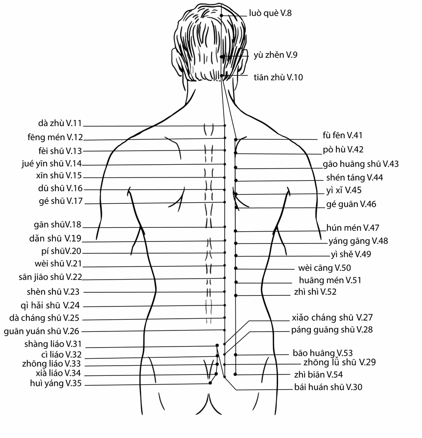 Acupuncture Point Hunmen Bl-47 (illustration, picture, view, show, demonstration, location)