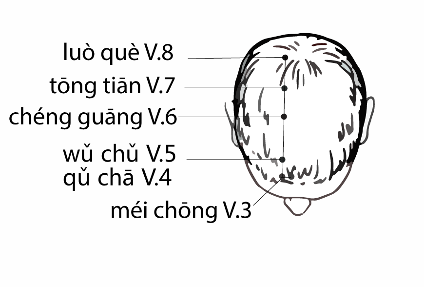 Акупунктурная точка Tongtian Bl-7 (иллюстрация, картина, демонстрация)