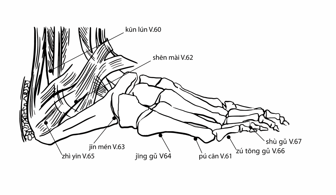 Акупунктурная точка Kunlun Bl-60 (иллюстрация, картина, демонстрация)