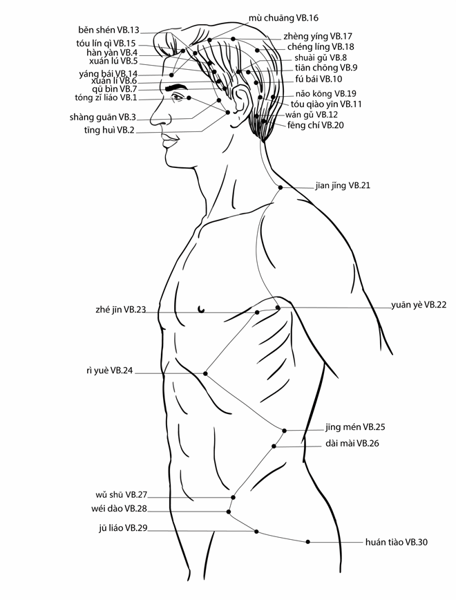 Acupuncture Point Fubai Gb-10 (illustration, picture, view, show, demonstration, location)