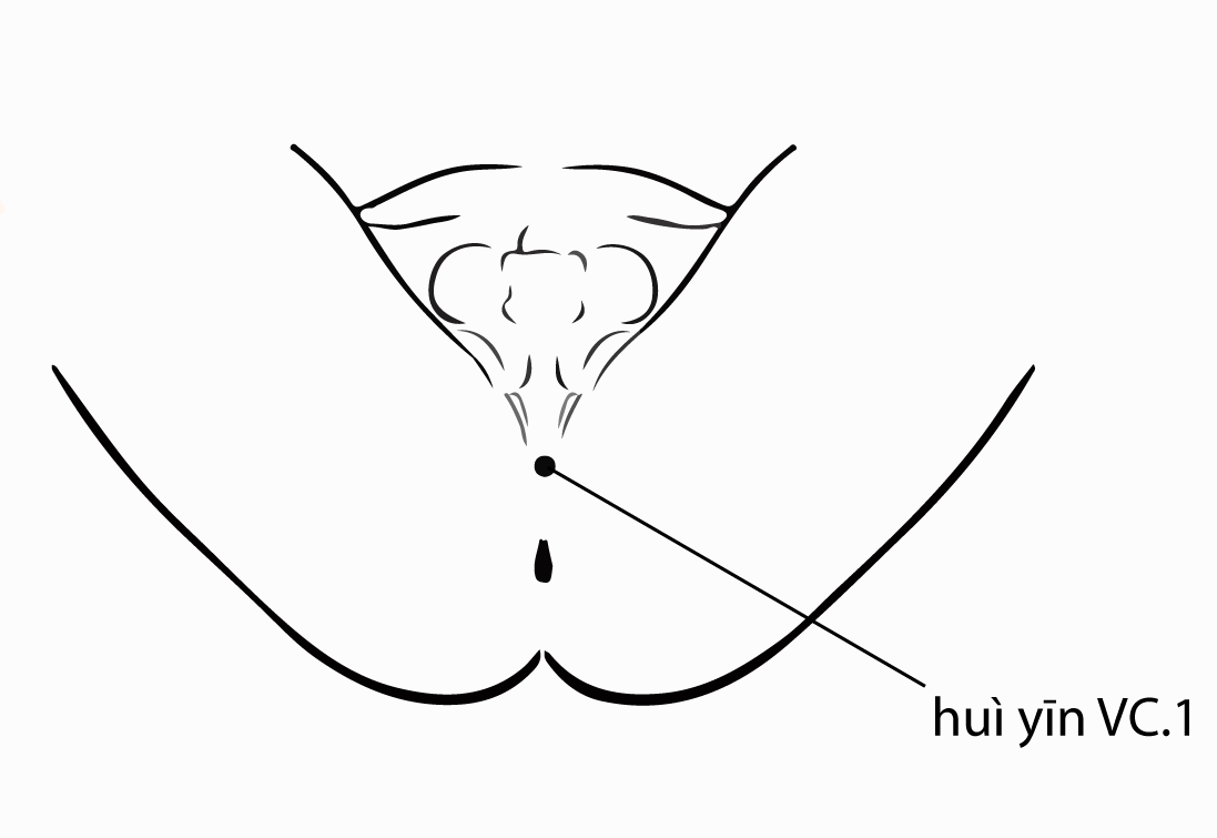 Acupuncture Point Huiyin Ren-1 (illustration, picture, view, show, demonstration, location)
