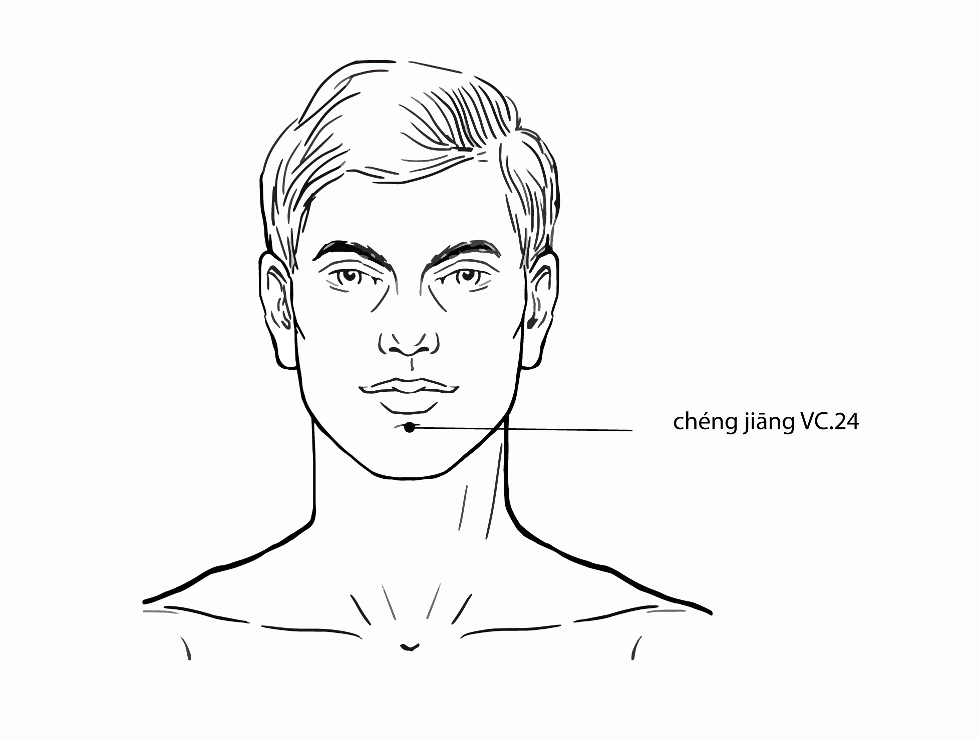 Acupuncture Point Chengjiang Ren-24 (illustration, picture, view, show, demonstration, location)
