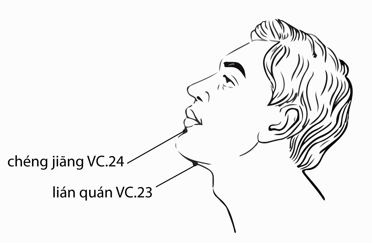 Acupuncture Point Chengjiang Ren-24 (illustration, picture, view, show, demonstration, location)