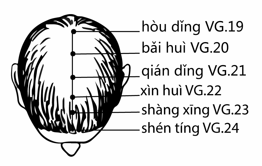Акупунктурная точка Shangxing Du-23 (иллюстрация, картина, демонстрация)