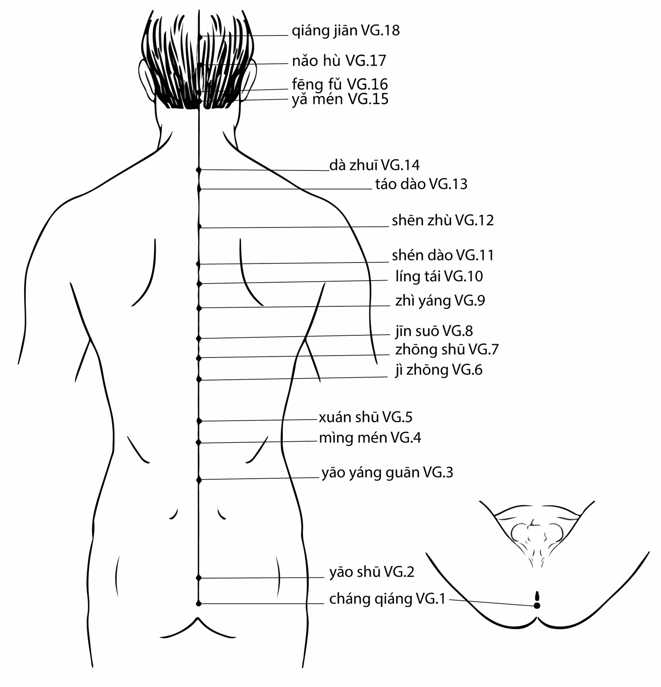 Acupuncture Point Jinsuo Du-8 (illustration, picture, view, show, demonstration, location)
