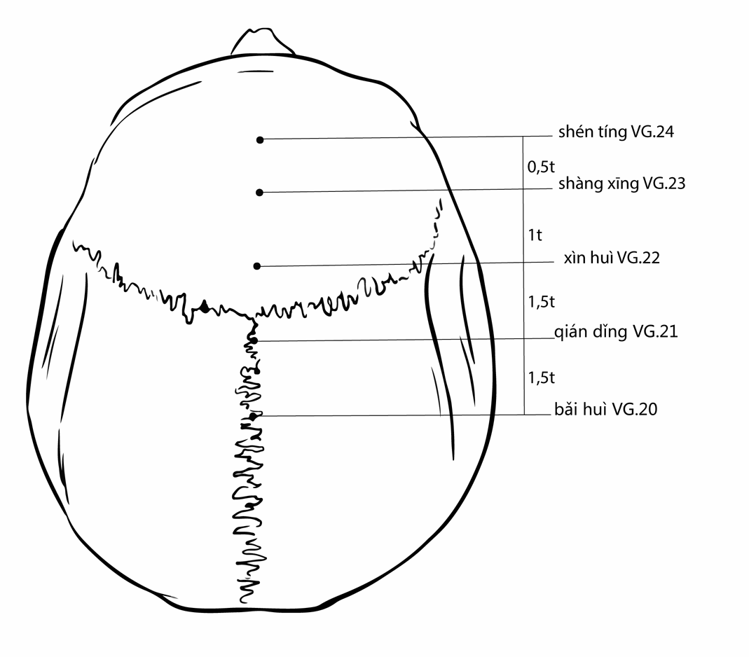 Акупунктурная точка Qianding Du-21 (иллюстрация, картина, демонстрация)