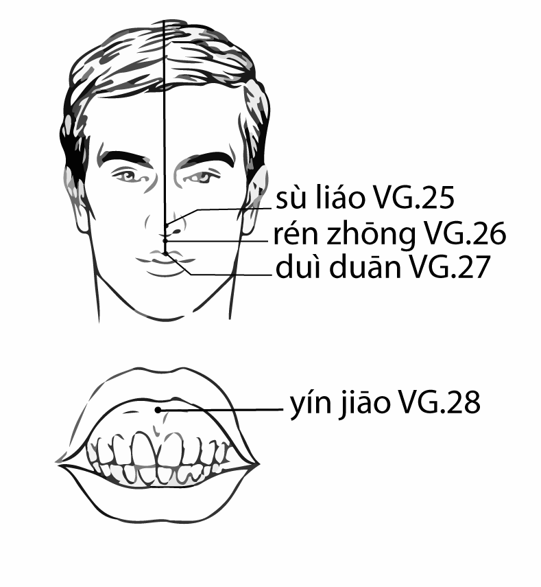 Acupuncture Point Duiduan Du-27 (illustration, picture, view, show, demonstration, location)